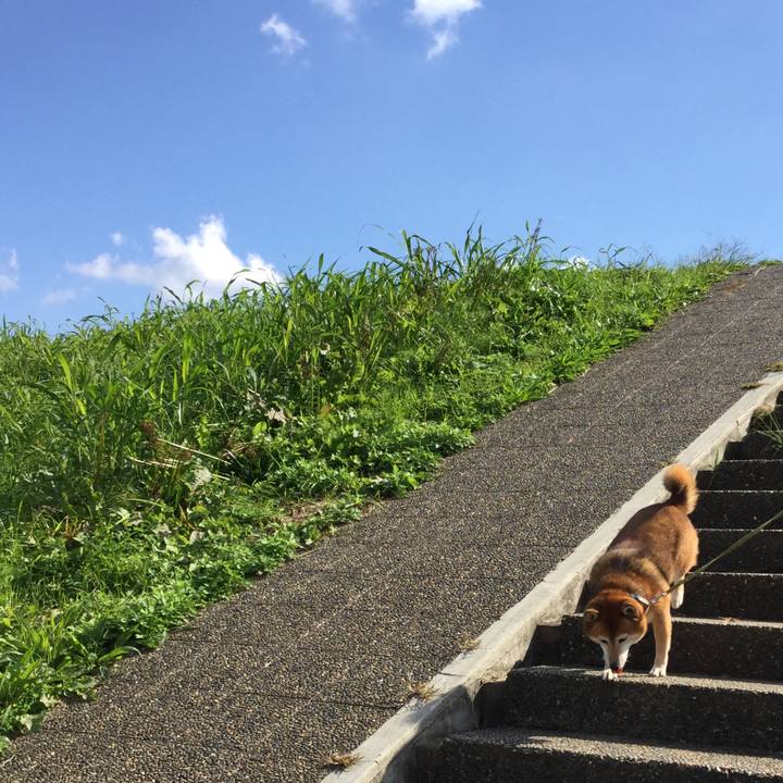 508a0ef9 9923 4511 af36 6a5e6822eac1 1603257612624