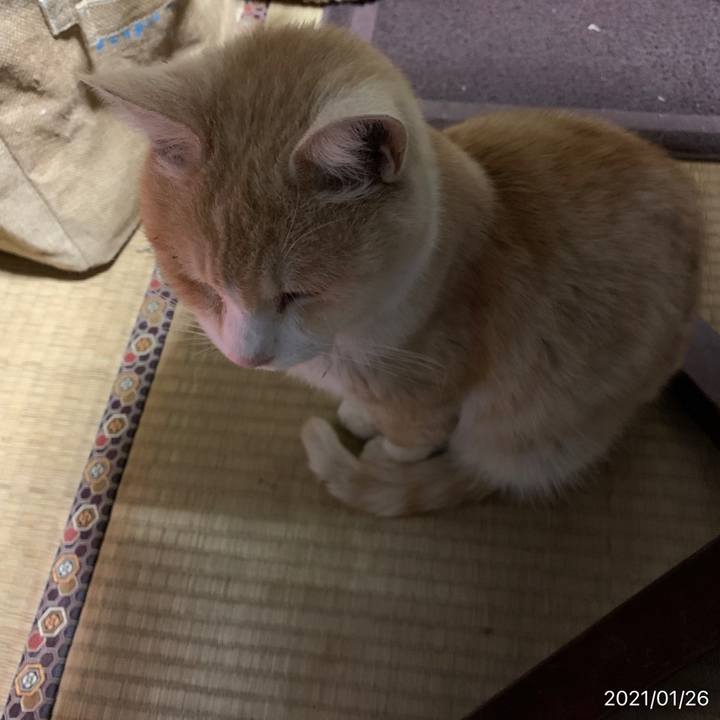 508a2307 0d88 4ded 8bfc fbd8aa89a3f6 1611647967920