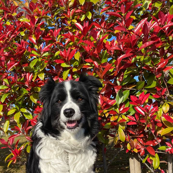 508a4a5c c4d6 466f a173 28b62c879ba0 1649460381690