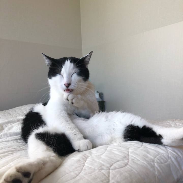 508a574b 51ef 48be 80f6 a4f47590db8a 1558828653074