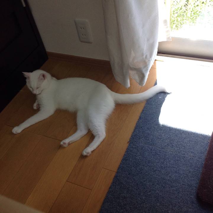 508a7687 031b 4211 bb1e b9d39b1b44d5 1628561302495