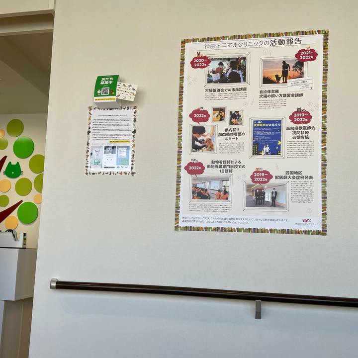 508aa464 bc9b 4df4 a6eb 81ca24919c66 1679884828747