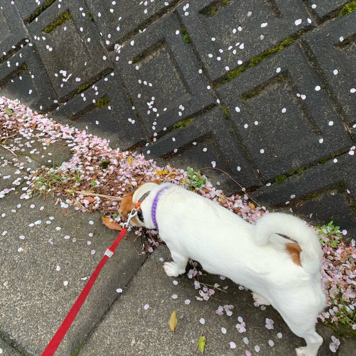 508aa6f0 16b7 497b 8e1b b76d10a8e843 1585365883575