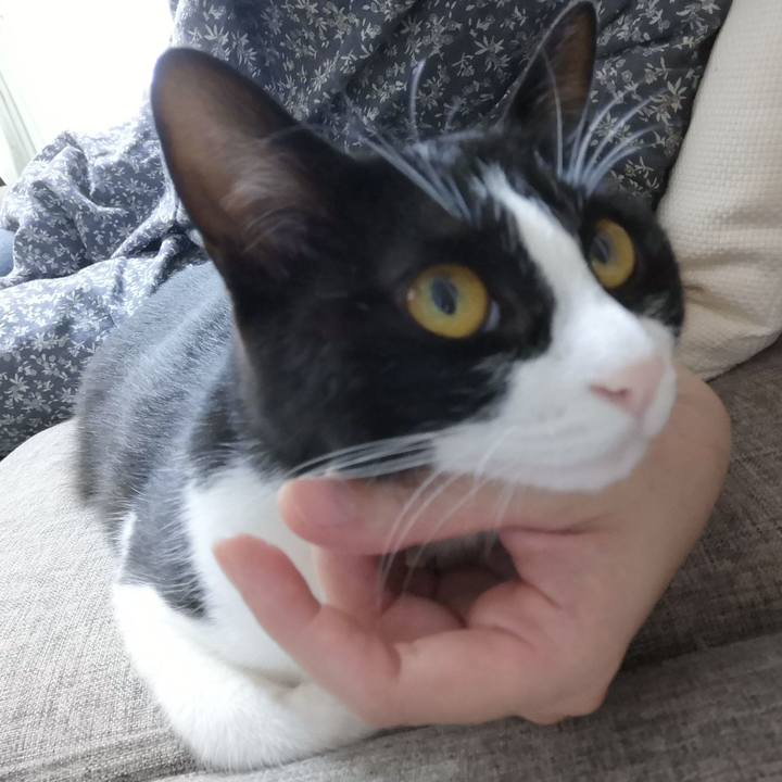 508aae15 0df0 4841 8256 0bb973f77cbe 1563005455680