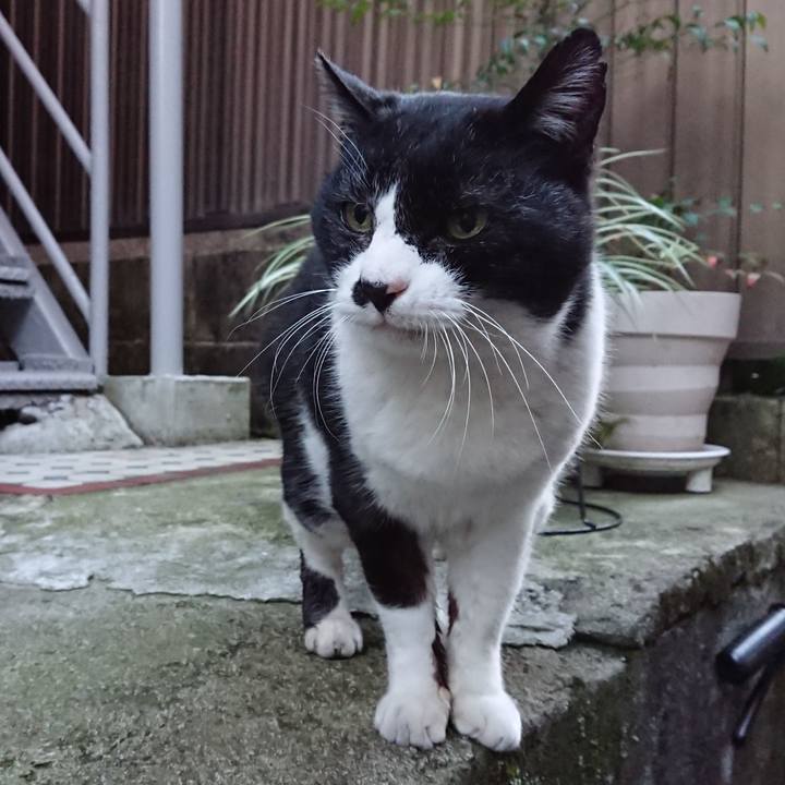 508abf1a 9489 499b 8421 658869abc790 1671954093193