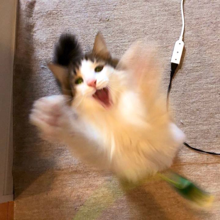 508ad35b 7adf 4dff bffd 4c269b5dd963 1553592270832