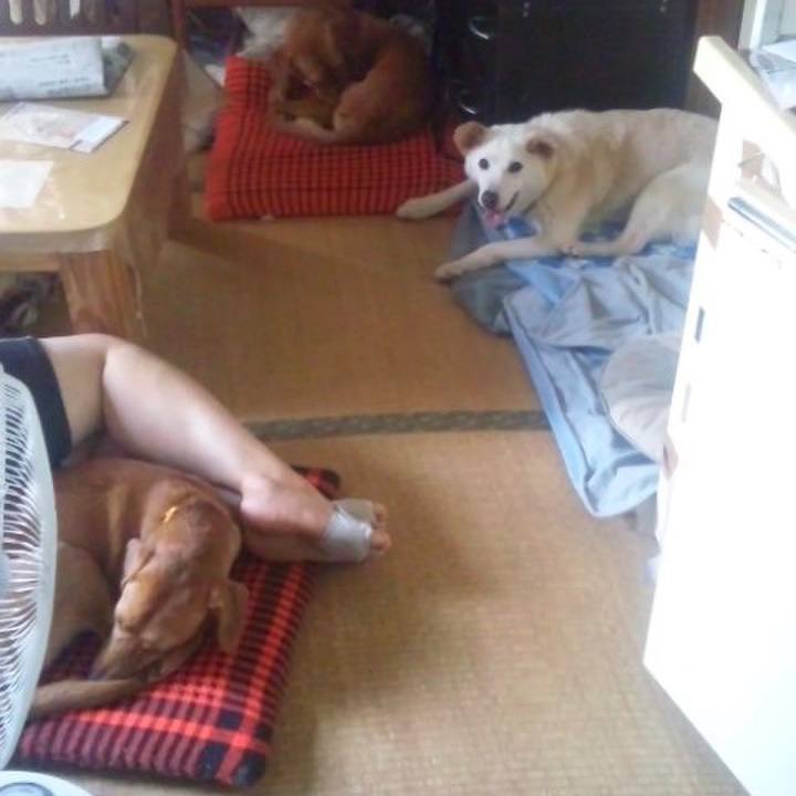 508ad768 21a4 4f5c 9788 5d7a623e3d15 1565266582618