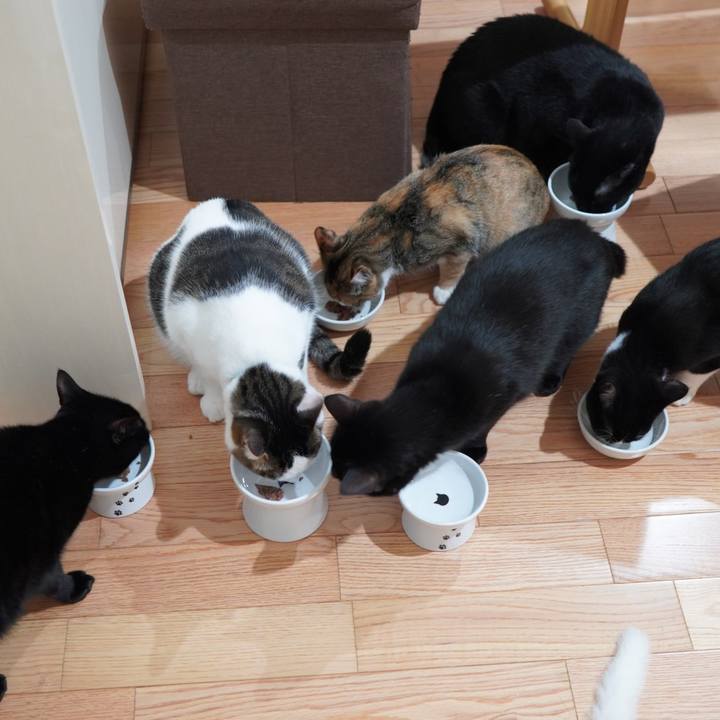 508b34d0 7d33 49fc 9a01 35b5dbaaa07b 1583188802377