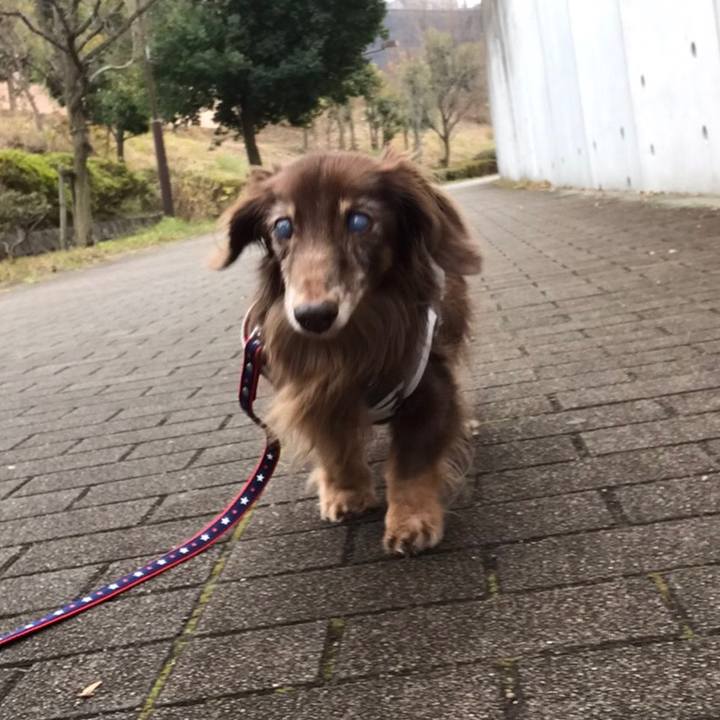 508b39dd 06c6 4c29 8176 39b82bfbb38c 1577686589327