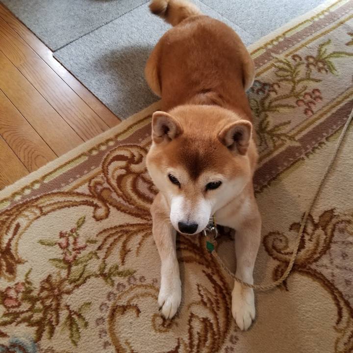 508b3e53 5ed5 4a16 a496 6c90966d59a9 1568530581014