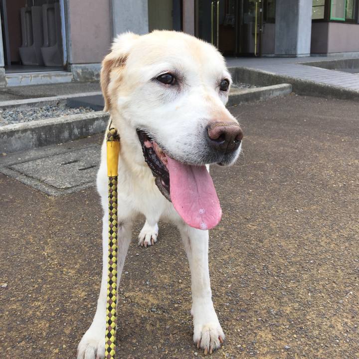 508b40a2 3c76 4a31 8f65 34fe1bd21b71 1534326092735