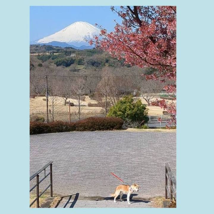 508b6d18 47a7 4e71 aa56 0216152f5d72 1679293251310