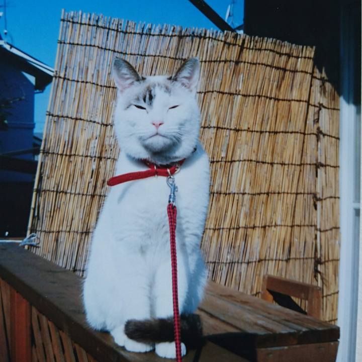 508b7205 f928 41ff 97cb bbf3604ea225 1630068009539