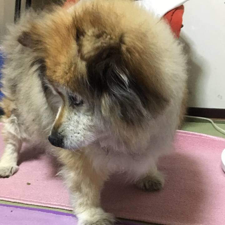 508bd462 c979 4451 b490 e3c0a8b4b8b7 1577324022702