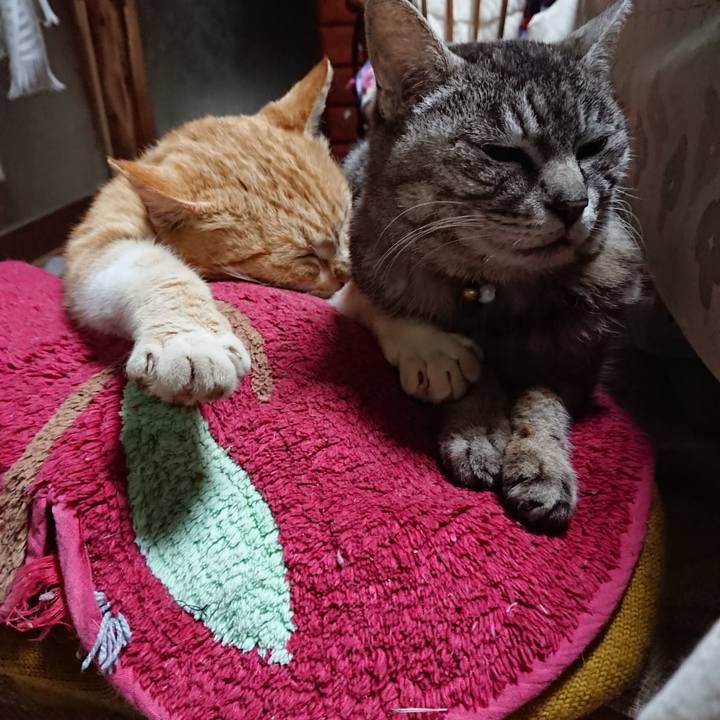 508be0fc bfd0 4aad 8318 edc564405cd8 1557227208968