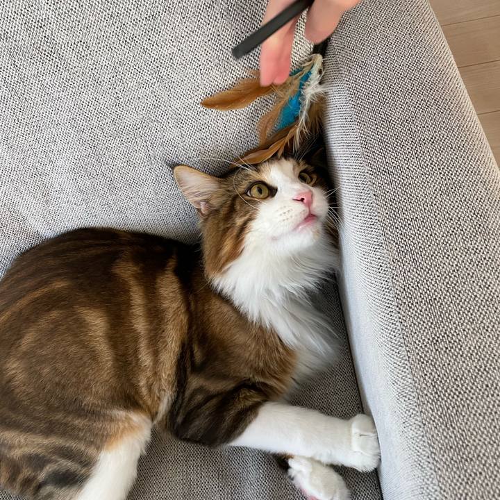 508bfef0 dfbc 498a a219 8d34b7db059f 1661290719941