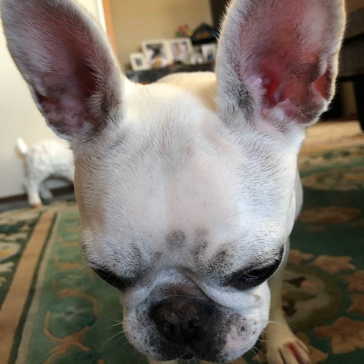 508c0ac2 3ff1 4787 b8a9 a508119ed592 1540014115898