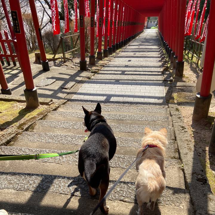 508c0f4c cd9b 456b be3a 6348ad3115a7 1649236206424