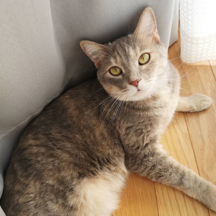 508c49e8 8e53 4c57 a409 614ac4396a85 1565596490849