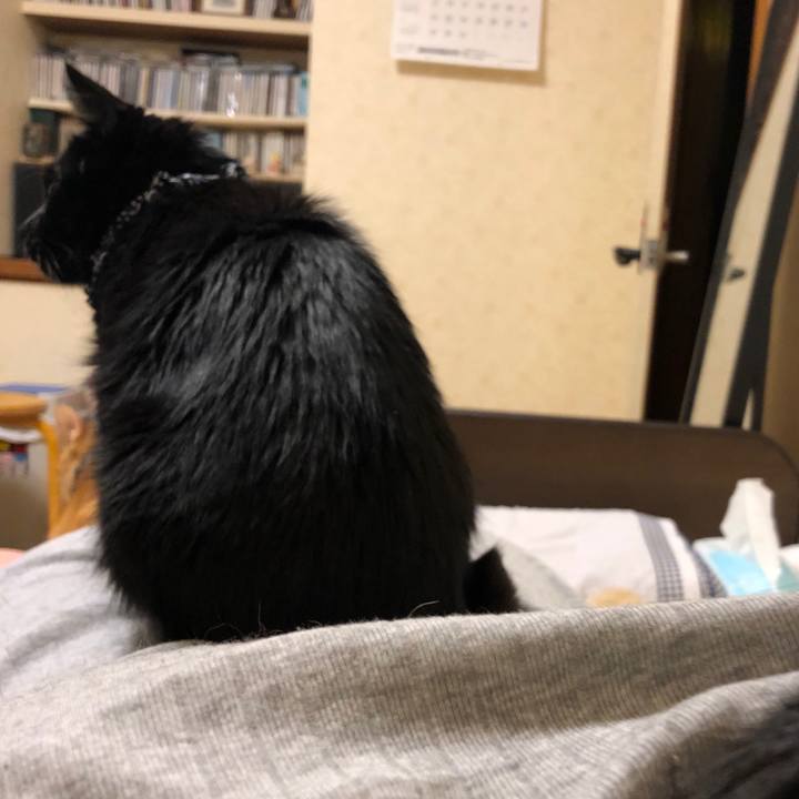 508c4d07 88a1 4e9b bf97 9741927f1efd 1576410485305