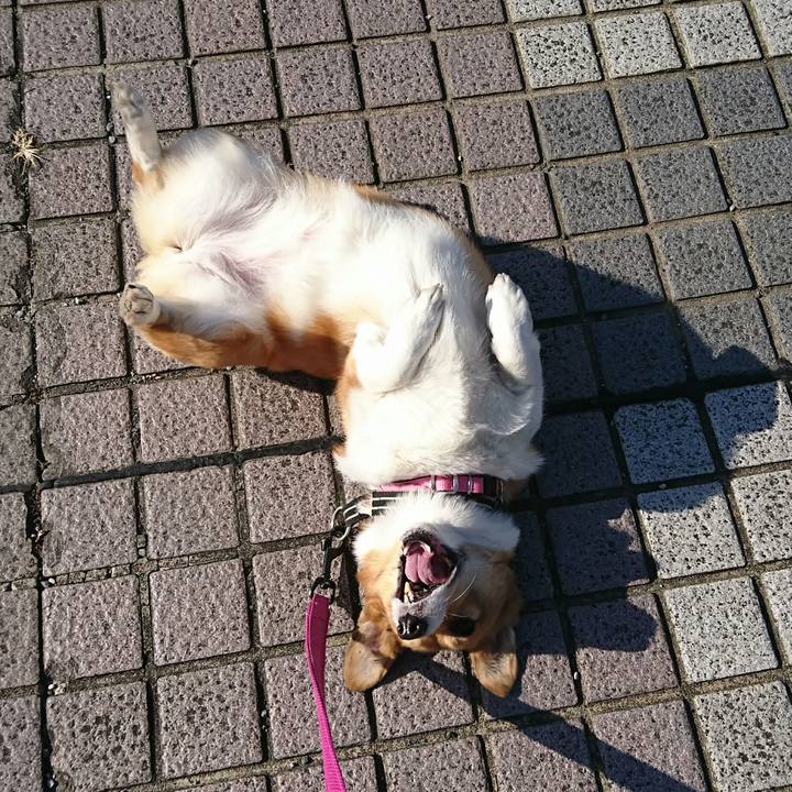 508c5cf7 29c8 435f b448 29cc1a53ee37 1548219142863