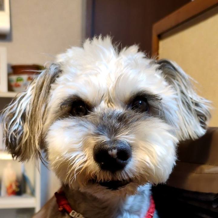 508c5ee9 b8d6 43a0 8101 4c5289c93ec8 1757381693212