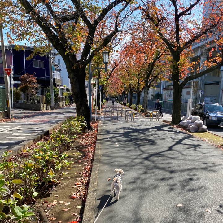 508c6df6 a259 49ca 91ae dfd016aed204 1573959734952