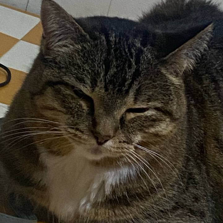 508c7d48 b1dd 41d7 a863 6f171968cd26 1717602396372