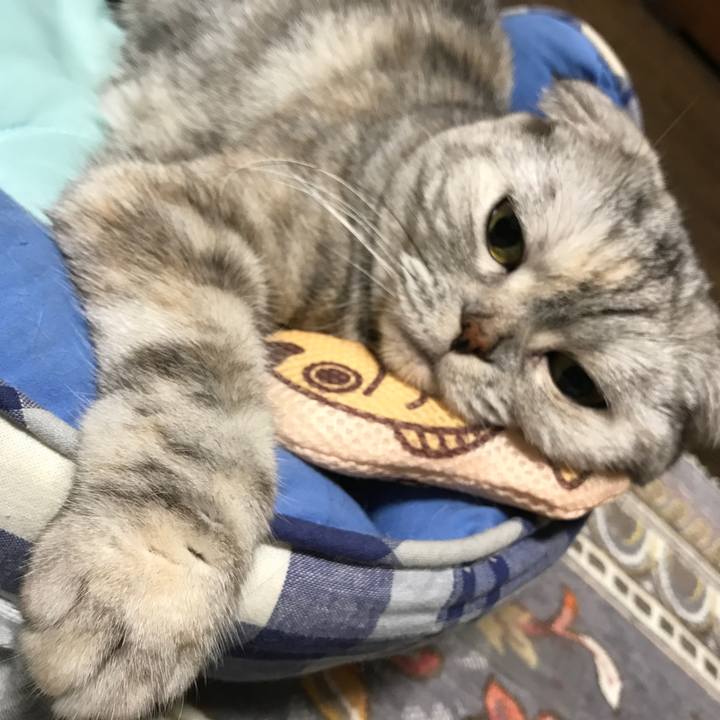 508c991c a186 47e7 8fe7 e2cc4fee517b 1508122028171