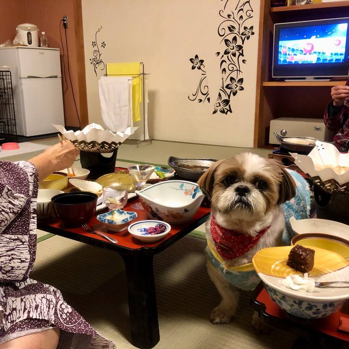 508ca0ac f45c 4664 b07c c5d2f262fca8 1572940233433