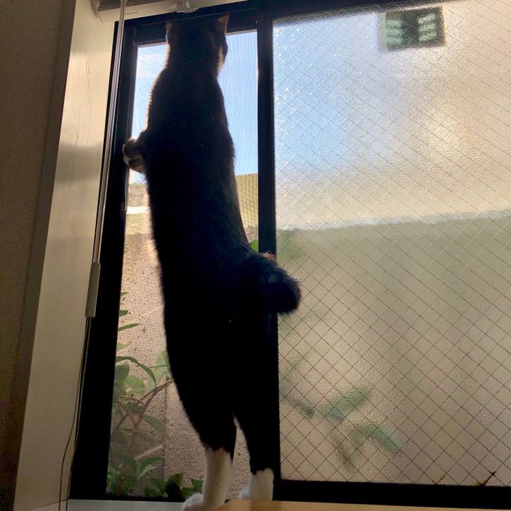 508cc934 813b 43aa 8ff1 ce55aba07e28 1542251899658