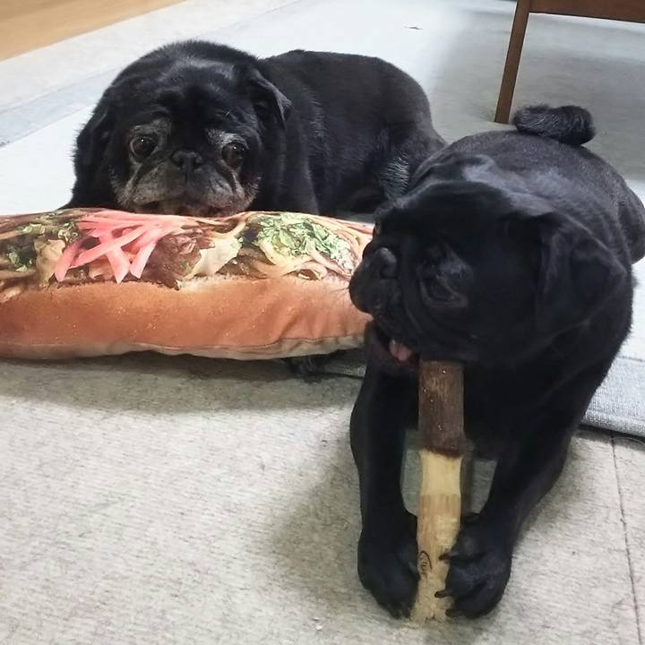 508cdd63 e883 4386 9d30 d641582be535 1534346628409