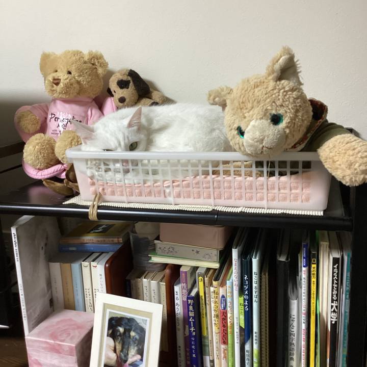 508cf3c4 5d24 4114 8ff7 96e37262d879 1676433401294