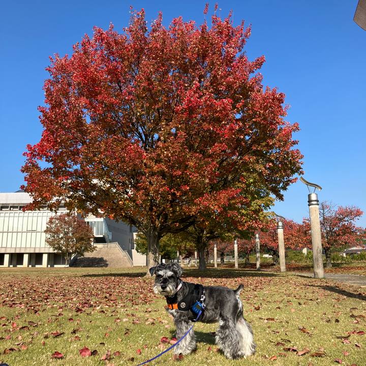 508cfda5 fa57 48d2 863f a36649bcf9fa 1731563516224