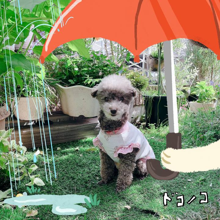 508d0d93 5f86 4248 9c1e 5391011a127d 1749096492034