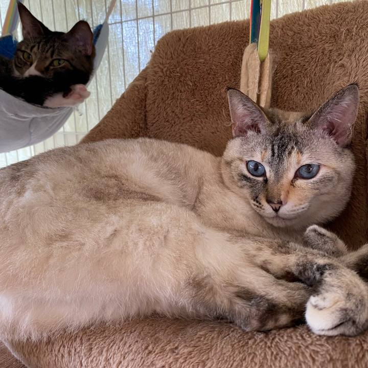 508d19eb 0505 43b9 8248 5075209be414 1747539197499