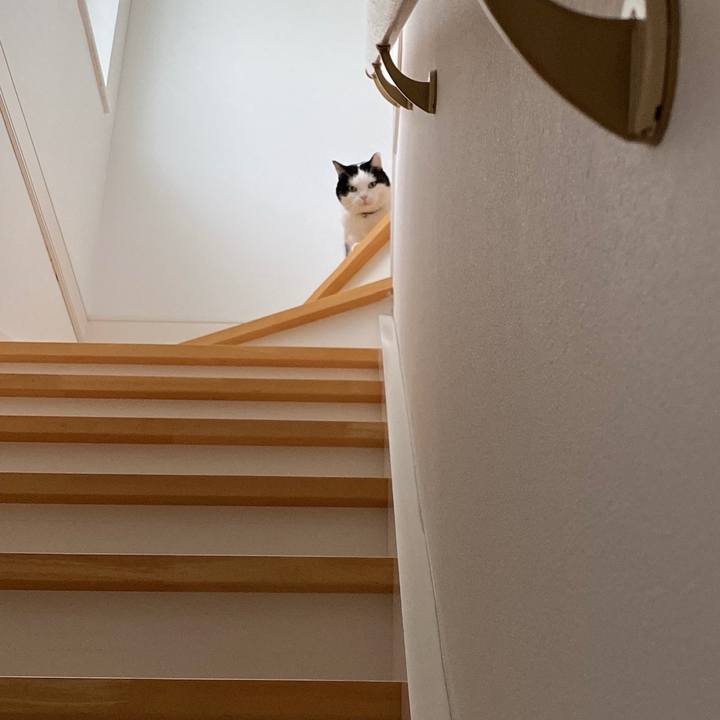 508d2464 4015 4bdf a209 5b896f3a7e05 1764802502161