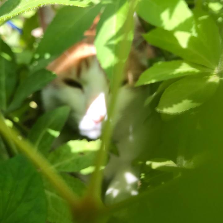 508d5dfa 3be9 4714 9052 7c6fb829b21b 1527316911438