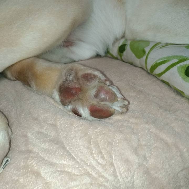 508d8399 d91d 4484 b28f 764504a5105c 1583150325813