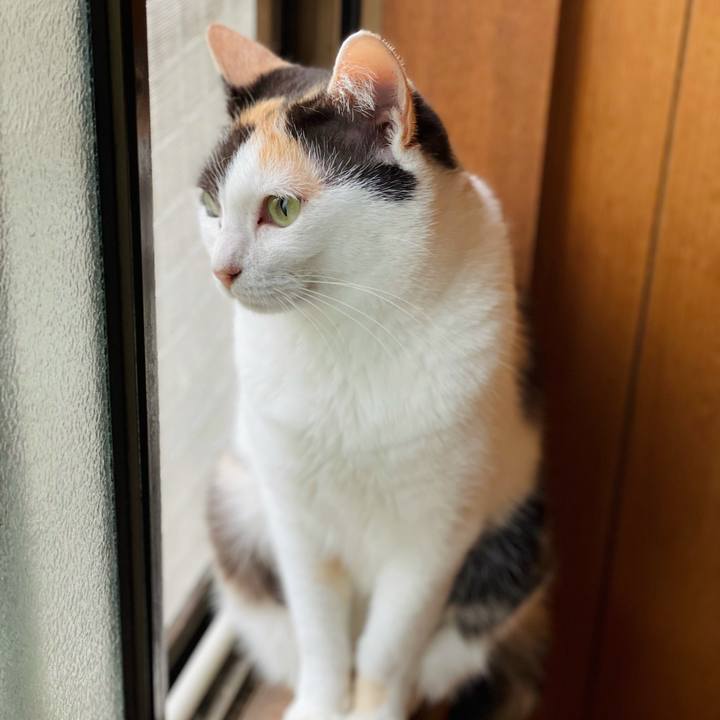 508de122 c0ef 4620 9bf2 236614a284a7 1627519356476