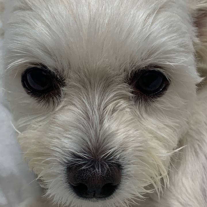 508de753 9e86 4eed 920a f2aa9834fdad 1572084535339