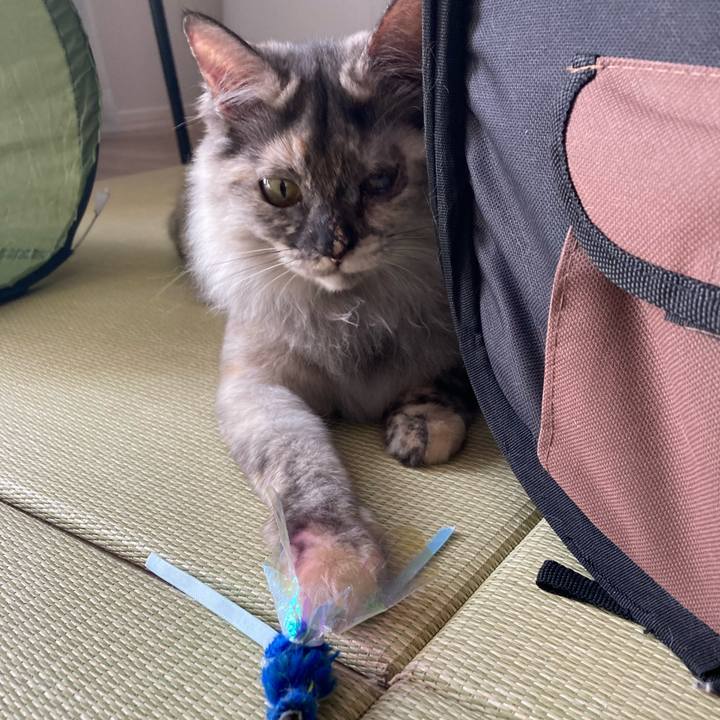 508dfd6e 2ee7 42f9 967a 7a43bec0ce2d 1714692728827