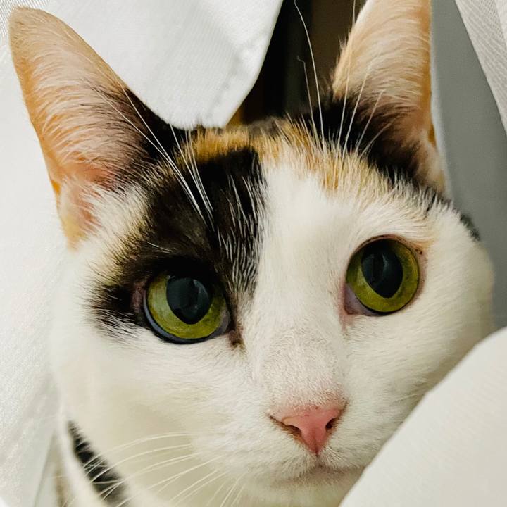 508e1155 2f67 402c a083 e02458752a77 1612577545360