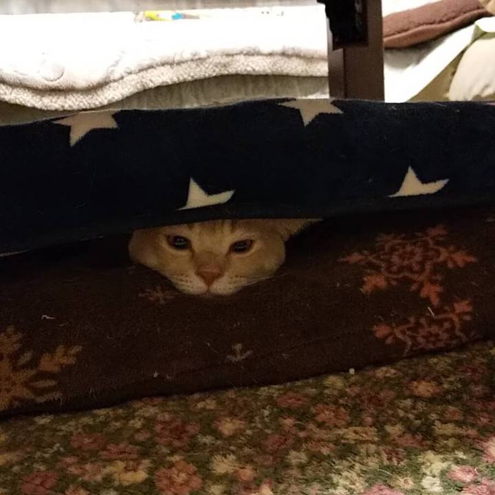 508e3a5f 7019 4b6b b378 4c6ca8aa39f0 1587562256709