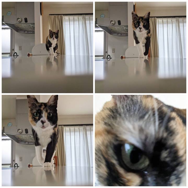 508e55f1 9103 4204 91dc c961c88b9213 1686038360456