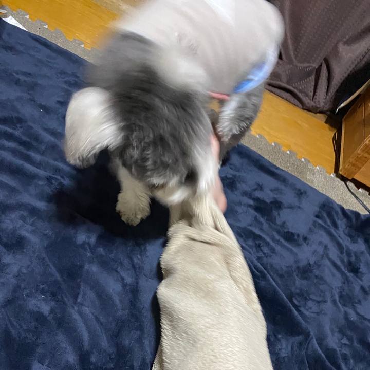 508e5909 2a79 4ac9 a8e5 f10b2633fed1 1581700397134