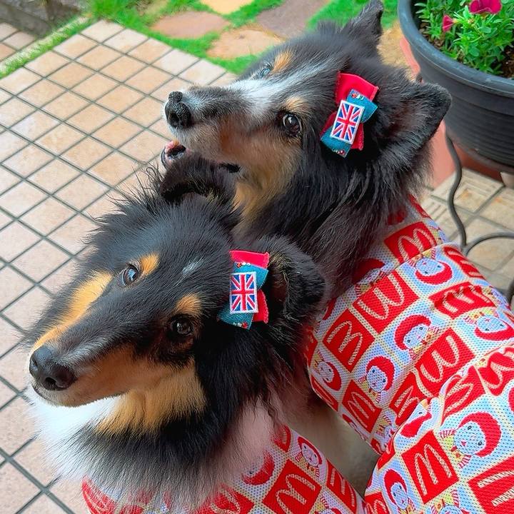 508f28d8 6f40 4ba1 bdf3 7437097b697f 1750094336637