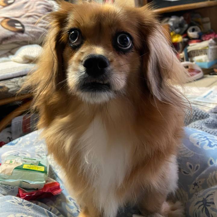 508f3cff 5335 4402 ba18 10e3d8d366ca 1605738142849