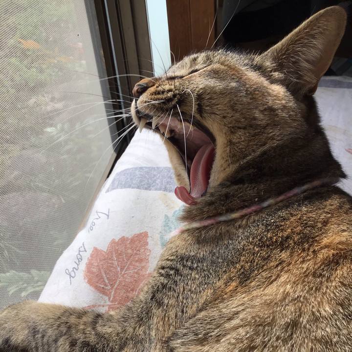 508f58dc 72cd 482d 973b fd9a51efb72c 1616122308953