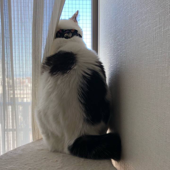 508f7d16 d872 4696 bf97 ce90be08f580 1527809829946